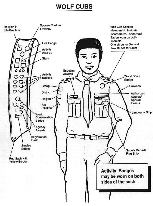 Illustration of the current Cub Uniform