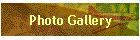 Photo Gallery