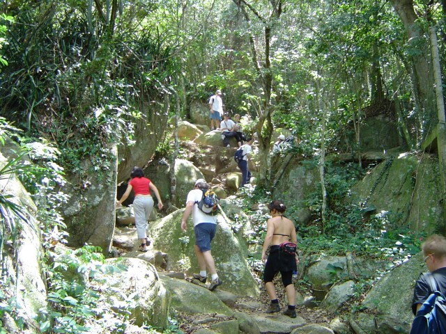 Auf dem Weg durch den Wald