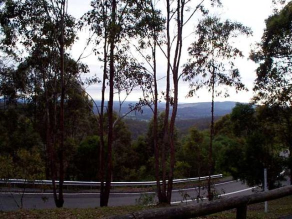 A view from Mt. Nebo.