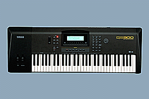 QS300.gif (21767 bytes)