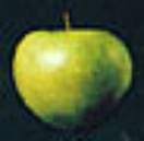 LOGO DE APPLE RECORDS