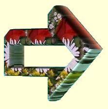 Outros Eventos