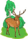 Reid Park Logo