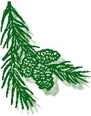 CMGC Logo