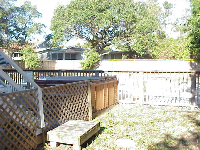 The back yard view