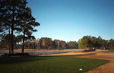 Sunshine graces Myrtle Beach National