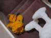 Peanuts_09 (2005)