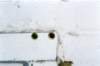 Eyes'es and more eyes'es_05 (2005)