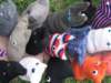 Cats for Intervention two_08 (2005)