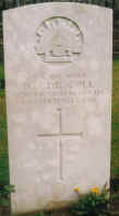 driscoll.jpg (28855 bytes)