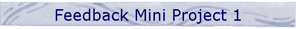 Feedback Mini Project 1