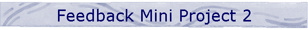 Feedback Mini Project 2
