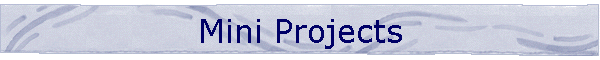 Mini Projects