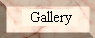 Click here to go to the first Gallery