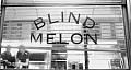 melon 297x159 - (47810 bytes)