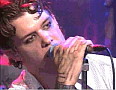 shannonhoon005 309x239 - (9491 bytes)