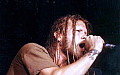 shannonhoon013 380x240 - (27693 bytes)
