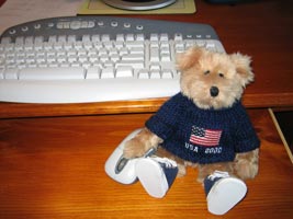 Website Co-ordinator (USA teddy bear)