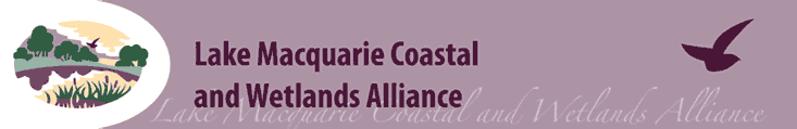 Click to go to the Alliance home page
