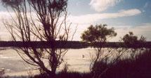 Belmont Lagoon-Click to purchase this photo