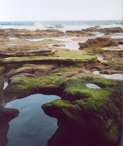 Caves Beach-Click to purchase