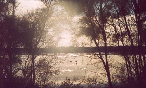 Belmont Lagoon, 2. Click to purchase