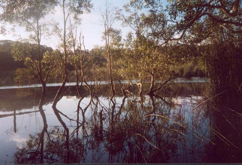 Dudley Lagoon. Click to purchase