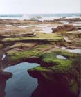 01 Caves Beach