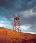 07 Shark Tower, Redhead