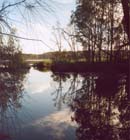 10 Belmont Wetlands