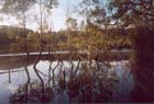 12 Dudley Lagoon