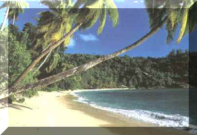Anse Intendance, South Mahe