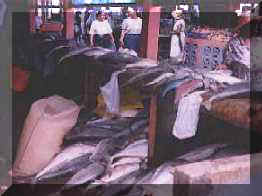 Victoria Fish Market