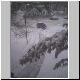 SHOVELED.JPG