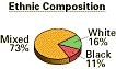 Ethnic Composition