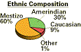 Ethnic Composition