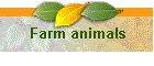 Farm animals