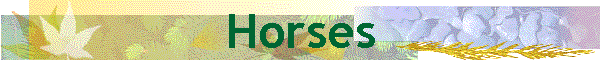 Horses