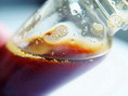 mangosteen concentrate