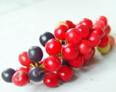 Mamao or Maoberry