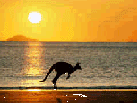 Wallaby, Kangaroo & Marsupial Ring - Next site