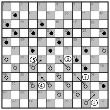 my-dam-12by12-adv-ans4-1.jpg (23234 bytes)