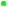 (novo)