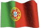 PT Flag