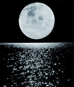 Luna