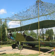 Avi�n antigua