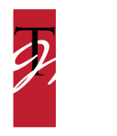 tm logo