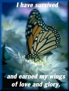 Butterfly's Wings of Love and Glory