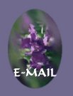 Send me an E-mail!